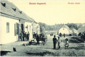 Hőgyész, Fő utca és üzlet. W. L. 2733.