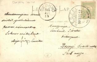 1906 Kecel, Gajáry-Stielly-kúria, lovasszekér, photo