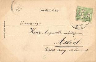 Miskolc, Széchenyi utca, Nagyszálloda, Fehér József és Lipót üzlete. Kardos József kiadása, címeres ...