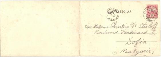 Mohács, Kikötő uszállyal. Weiser Miksa panorámalapja / Panoramacard (fl)