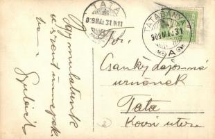 1909 Tatabánya, Családi tekézés az udvaron, háttérben a gyárakkal, photo