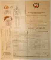 Vöröskeresztes oklevél + 3 egyéb orvosi témájú irat