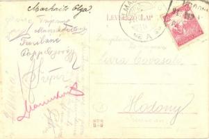 Almásegres, Ágris, Agrisu Mare; Tripon szőlőgazdaság / vineyard