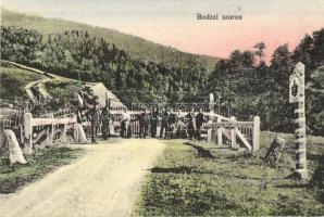 Bodzai-szoros, Buzau Pass; Magyar-román határ. Kézdivásárhelyi könyvnyomda kiadása / Hungarian-Romanian border