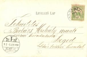 Dicsőszentmárton, Tarnaveni; vasútállomás, Fő tér, pavilon. Hirsch Mór kiadása / railway station, ma...