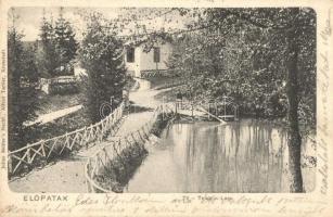 1903 Előpatak, Valcele; Tó / Teich / Lacu / lake