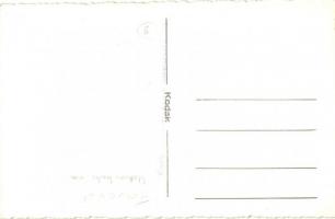 Farcád, Forteni; kúria / villa, Kováts István photo