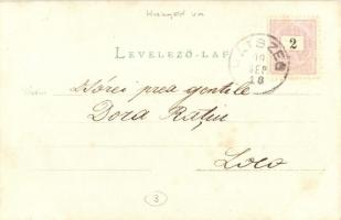 1899 Hátszeg, Hateg; utcakép, Schuleri T., Groszeck Károly és R. és B. Popovits üzlete, lovas hintó,...