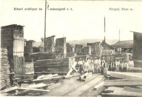 Mézged, Meziad; Bihari erdőipari és mészégető rt. telepe a munkásokkal / forestry and lime burning mill with workers