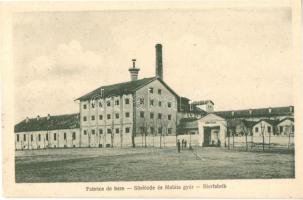 Nagyszentmiklós, Sannicolau Mare; Sörfőzde és Malátagyár / Fabrica  de bere / Bierfabrik / brewery and malting plant (EK)