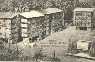 Pankota, Pancota; Szatmári Szabó István méhészete. Hátoldalon reklámmal / beekeeping, beehives, advertisement on the backside