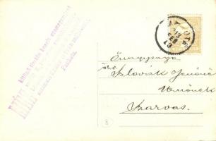 Pankota, Pancota; Szatmári Szabó István méhészete. Hátoldalon reklámmal / beekeeping, beehives, adve...