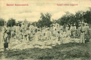 Szamosújvár, Gherla; Gyapjút szárító fegyencek. W. L. 1885. / prisoners drying wool