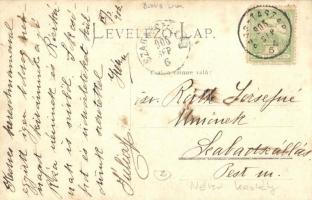 1906 Néver, Neverice; kastély / castle, photo