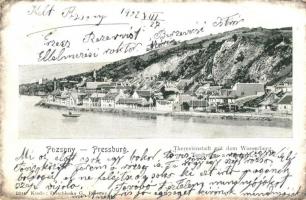 Pozsony, Pressburg, Bratislava; Terézváros a Vis-heggyel. Duschinsky G. kiadása / Theresienstadt mit dem Wasserberg / panorama view with mountain (kopott sarkak / worn corners)