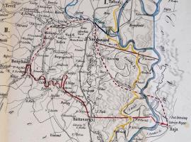 cca 1860 Tolna vármegye térképe. Színezett rézmetszet. 44x59 cm