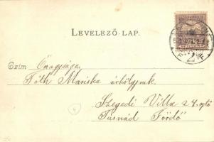 Beregszász, Berehove; Auer Károly pince és borháza. Saját kiadás / winery