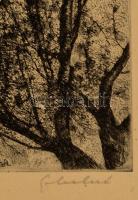 Olvashatatlan jelzéssel: Tavasz. Rézkarc, papír, keretben, 20×29 cm