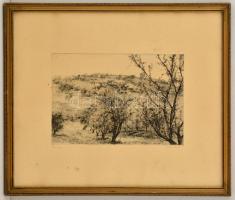 Olvashatatlan jelzéssel: Tavasz. Rézkarc, papír, keretben, 20×29 cm