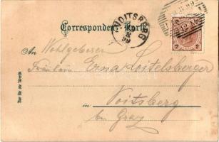 1899 Maribor, Marburg; general view, Verlag Louis Glaser, Art Nouveau litho