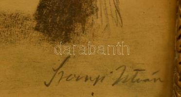 Szőnyi jelzéssel: Csipgető tyúk az udvaron. Színezett litográfia, papír, üvegezett keretben, 22×31 c...