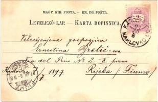 1897 (Vorläufer!) Károlyváros, Karlstadt, Karlovac; general view, Heinrich Krapek floral Art Nouveau...