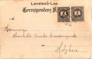 1899 Bakar, Bukkari, Buccari; general view, litho (EK)