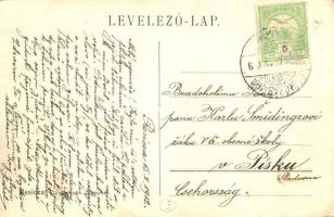 Resica, Resita; cigányok. Braumüller L. kiadása / Zigeuner / gypsy group