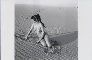 cca 1973 A gyönyörök kertjének legszebb virágszálai, 13 db szolidan erotikus fénykép, vintage negatí...