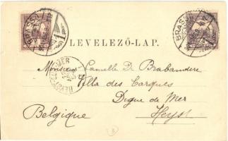 Brassó, Kronstadt, Brasov; Streikende Zigeunertruppe. Siebenbürgische Volkstrachtenkarte No. 12. / g...