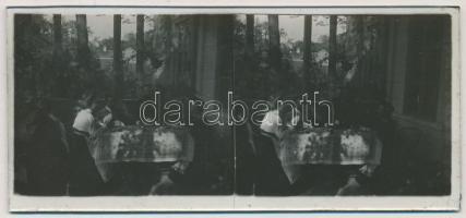 cca 1920 Sztereo diapozitívok és negatívok (egyezőség nélkül) különféle témákról, egy jómódú család ...