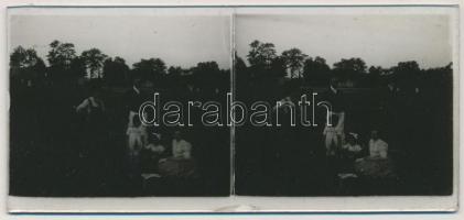 cca 1920 Sztereo diapozitívok és negatívok (egyezőség nélkül) különféle témákról, egy jómódú család ...