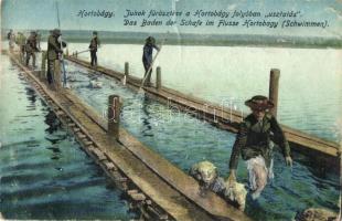 19 db RÉGI magyar városképes lap, vegyes minőség / 19 pre-1945 Hungarian town-view postcards, mixed ...