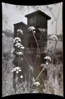 cca 1970 Vintage fotónagyítások maxi tétele, részben feliratozva, jelezve, sokféle témáról készült 9...