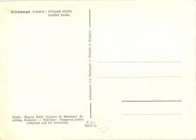 Könyvek között. Magyar Zsidó Irodalmi és Művészeti Bizottság kiadása / Amidst Books. Judaica art pos...