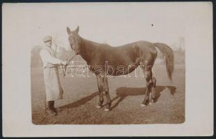 cca 1920 A ló és a lovász, fotólap, 9x14 cm