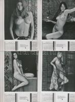 1971 Akt fotónaptárról készült fotófelvételek, 12 db, 12x9 cm