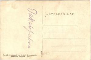 Egy székely parasztház kapuja (Jakabfalva) / Tor eines Székler Bauernhauses / Transylvanian folklore...