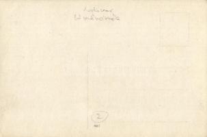 Lómészárszék katonai táborban, katonák állattetemekkel a szerb offenzíva alatt / WWI K.u.K. Field ho...