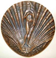 Nagyalakú "A vállalatért" Br emlékplakett, szignált T:1