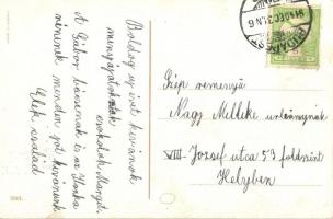 Boldog Újévet! / New Year greeting postcard, Drunken Pig gentlemen