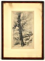 Zádor István (1882-1963): Párás nap a Margitszigeten. Rézkarc, papír, jelzett, üvegezett keretben, 4...