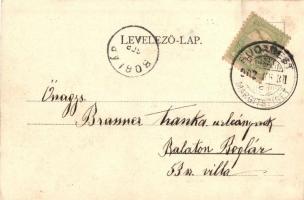 Budapest XIII. Margitsziget, Sporttelep, Kampmann H. kiadása (fa)