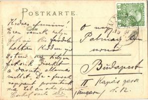 Bad Leogang i. Tirol. O. Blaschke's Floral, Art Nouveau Emb. litho frame with folklore lady