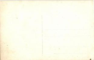 Udine, Castello / Castle with bell towers, Original photo!