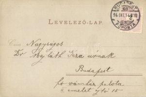 1898 Czigányéletből, Üstfoltozó cigány. Rigler Részv. Társ. kiadása / Zigeuner Typen / Gypsy type, l...