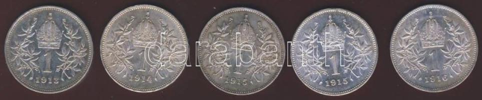Ausztria 1913-1916. 1K Ag (5x) T:1