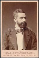 1878 bogáti Pscherer József (1844-1910) magyar királyi tanácsos, keményhátú fotó, Klösz György műterméből, 16x11 cm