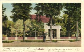 Buziás, Dr. Sugár Rudolf orvos szanatóriuma idegbetegek részére / sanatorium, doctor's office