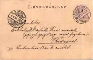 1898 Pozsony, Pressburg, Bratislava; látkép várral és gőzhajóval, Römmler & Jonas / general view...